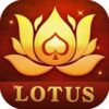 Teen Patti Lotus App